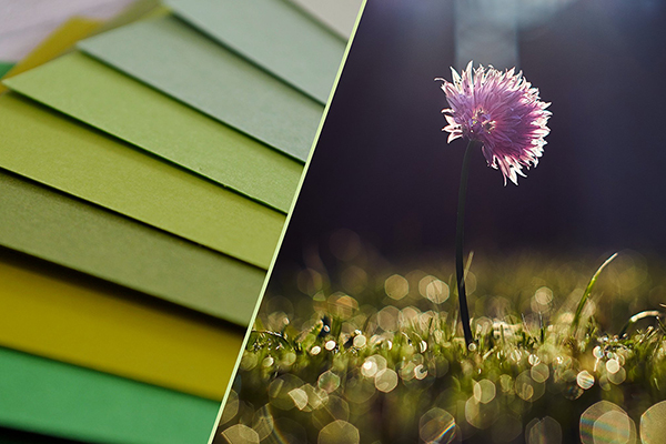 Печать визиток на Зеленая бумага