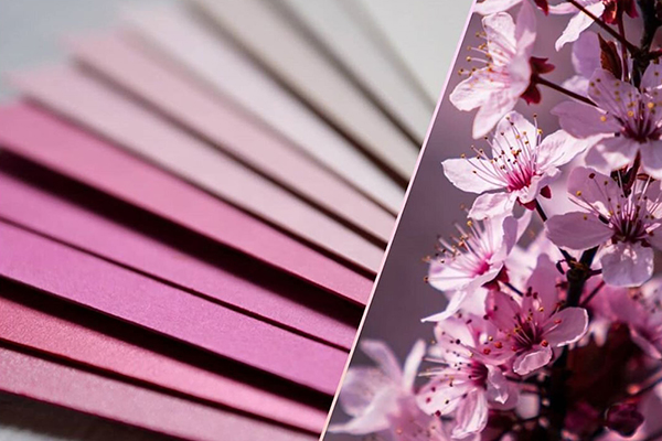 Печать визиток на Розовая бумага