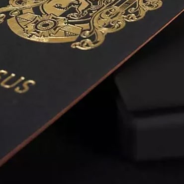 Визитка Triplex